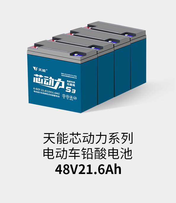 九游老哥J9俱乐部电池48v20ah